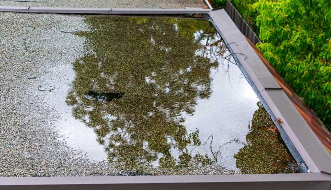Water pooling on a flat roof.