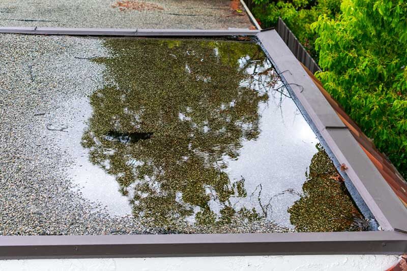 Water pooling on a flat roof.